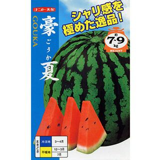 スイカ 種 【 豪夏 (ごうか) 】 200粒 ( スイカの種 ) | 農業屋.com