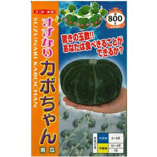 かぼちゃ 種 【すずなりカボちゃん】 100粒 | 農業屋.com