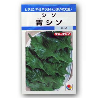 しそ 種 【 青しそ 】 小袋(MF 9ml) ( しその種 ) | 農業屋.com