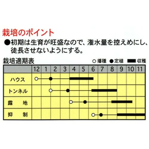 ミニトマト 種 【 ちびっこ 】 種子 小袋 | 農業屋.com