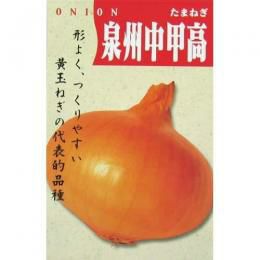 たまねぎ 種 【泉州中高黄】 1dl | 農業屋.com