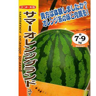スイカ 種 【 サマーオレンジグランド 】 200粒 ( スイカの種 ) | 農業