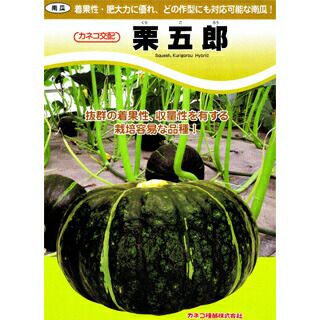 沖縄県産 栗五郎かぼちゃ 10キロセット かぼちゃ 種 【栗五郎】 500粒 | 農業屋.com