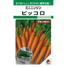 さつまいも苗 【 あまはづき 】10本 【予約販売 芋づる さつまいも 苗