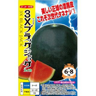 スイカ 種 【3Xブラックジャック】 8粒 | 農業屋.com