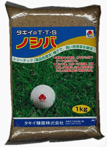 芝生 種 【 野芝 （ ノシバ ） 】 種子 1kg【通常 1～3営業日で発送
