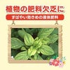 花工場　原液　８００ｍｌ