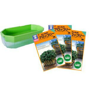 スイカ苗 【 チャンピオン 】 苗 4本セット 【予約販売】 | 農業屋.com