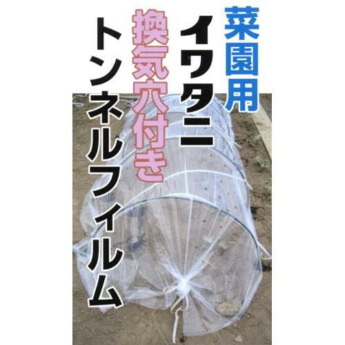 菜園用 換気穴付きトンネルフィルム 】（サイズ0.05×180×10m） | 農業