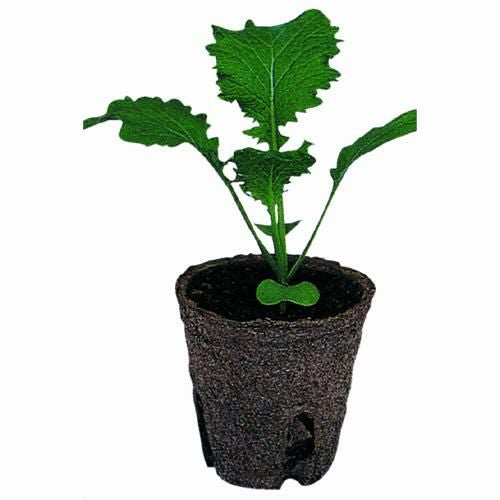そのまま植えられる鉢 ジフィーポット 丸型 5.5cm 20個入 | 農業屋.com
