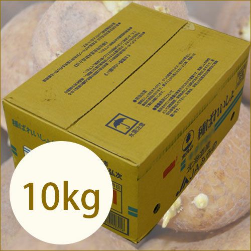 じゃがいも 種芋 【予約】 【 高級男爵 10kg 入り】[馬鈴薯 ばれいしょ