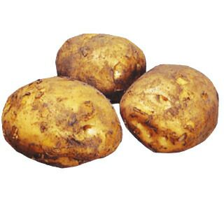 じゃがいも 種芋 【予約】 【 デジマ （出島） 2kg 入り】[馬鈴薯 秋