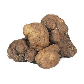 三重多気町名物! 伊勢いも 種芋 約300g