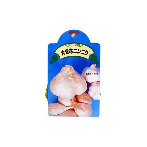 にんにく ジャンボニンニク 種球 約150g 【国産】 [ 葫 球根 種