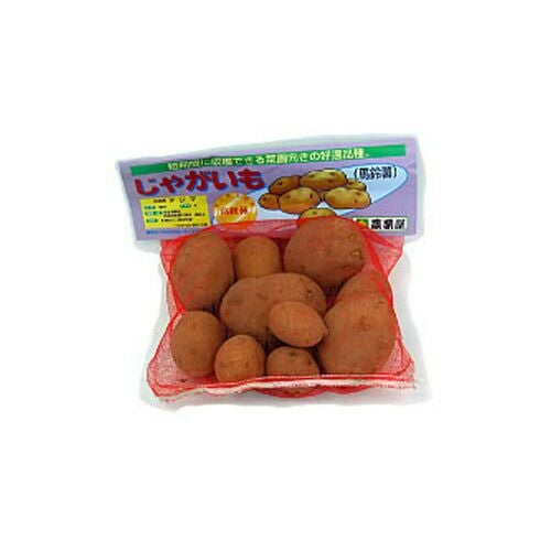 じゃがいも 種芋 【予約】 【 デジマ （出島） 1kg 入り】[馬鈴薯 秋