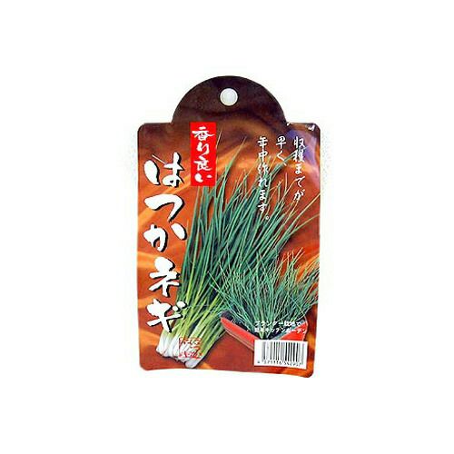 秋の健康野菜 | 農業屋.com