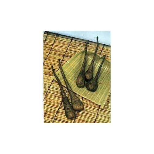 自然薯（じねんじょ） 【 短形自然薯(じねんじょ) 】 種芋 5本入り