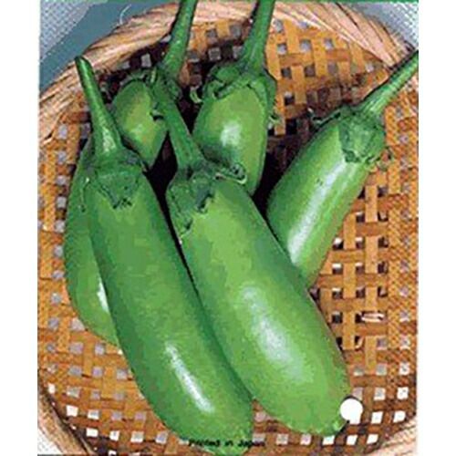 ナス苗U 000000008002-01.jpg?size=l&w=