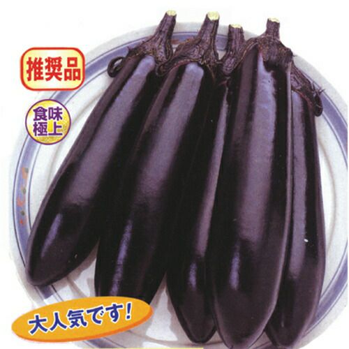 000000008003-01.jpg?size=l&w=