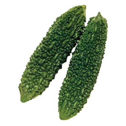 玉ねぎ苗 【予約】 【 早生 赤玉ねぎ レッドグラマー 】 約50本