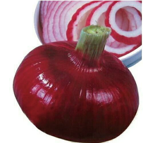 000000008072-01.jpg?size=l&w=