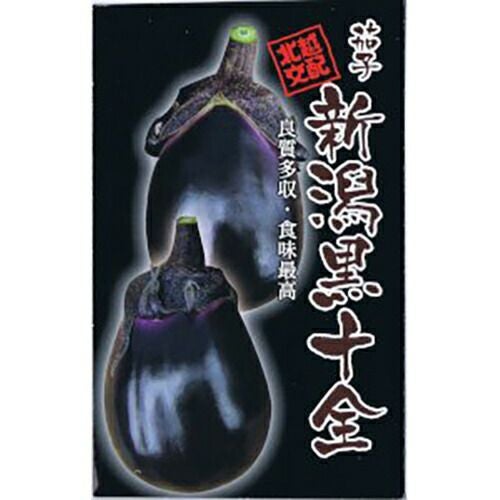 ナス苗 【 新潟黒十全ナス 】 苗 4本セット 【予約販売】 | 農業屋.com
