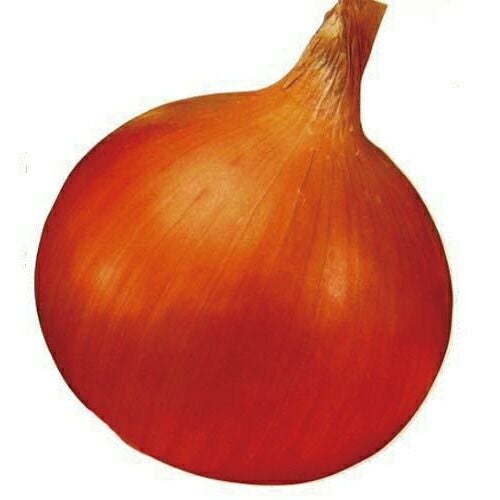 000000008191-01.jpg?size=l&w=