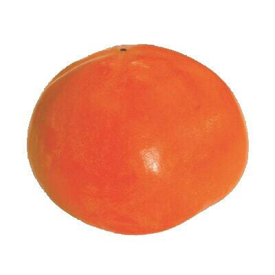 果樹苗 甘柿 【 ジャンボ富有柿 1年生苗 】 | 農業屋.com