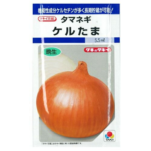 たまねぎ 種 【 ケルたま DF 】 小袋 （約4.5ml） | 農業屋.com
