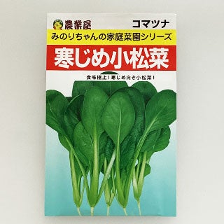  小松菜 種 【 寒じめ小松菜 】 小袋 （ 種 野菜 野菜種子 野菜種 ）