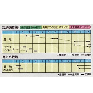  小松菜 種 【 寒じめ小松菜 】 小袋 （ 種 野菜 野菜種子 野菜種 ）
