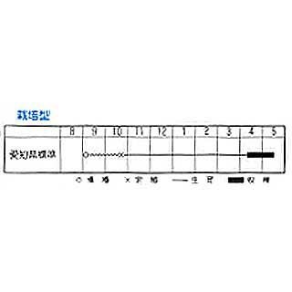  たまねぎ 種 【 早生高 】 小袋（3ml） ( たまねぎの種 )