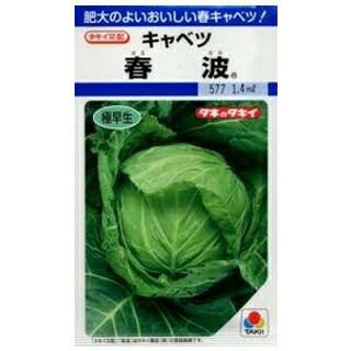 キャベツ | 農業屋.com