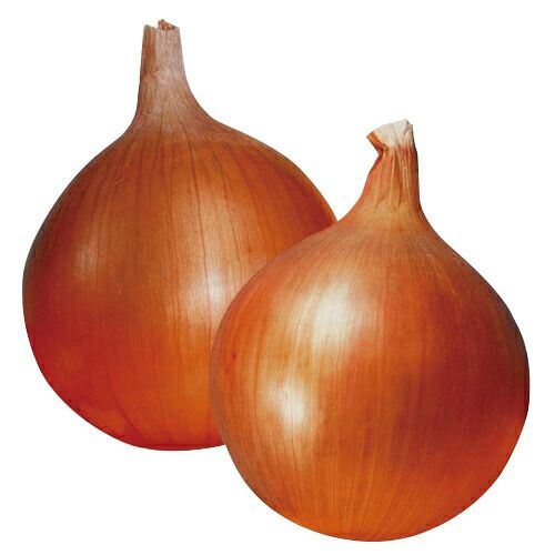 000000008593-01.jpg?size=l&w=