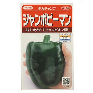 ピーマン 種 【 デカチャンプ 】 実咲小袋 | 農業屋.com