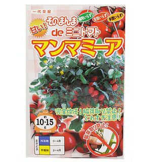 トマト 種 【 そのまんまdeミニトマト マンマミーア 】 500粒 | 農業