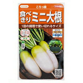 ダイコン 種 【 ころっ娘 】 小袋（20ml） | 農業屋.com