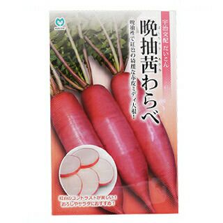 ダイコン 種 【 晩抽茜わらべ 】 小袋 | 農業屋.com