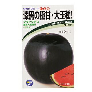 すいかブラックS 000000009007-01.jpg?size=l&w=