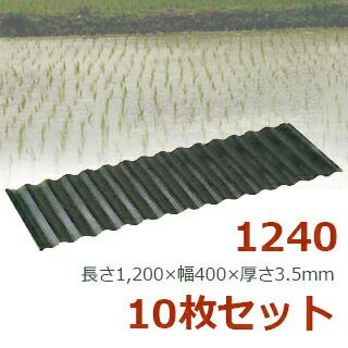 000000009036-02.jpg?size=l&w=