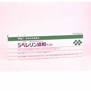 野菜 ainari27様専用 土垂れ セレベス V86431519 ainari27様専用　土垂れ　セレベス