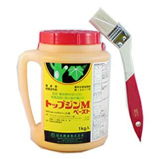 殺菌剤 トップジンMペースト 1kg | 農業屋.com