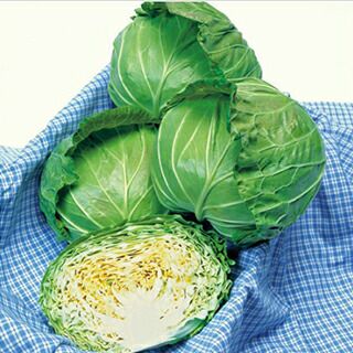 キャベツ 種 【 輝岬 】 小袋(2000粒) （ 種 野菜 野菜種子 野菜種