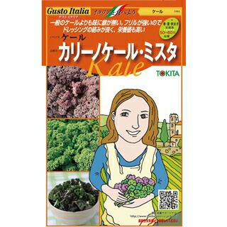 ケール 種 【ケール カリーノケール・ミスタ 】 種子小袋 （20粒×2