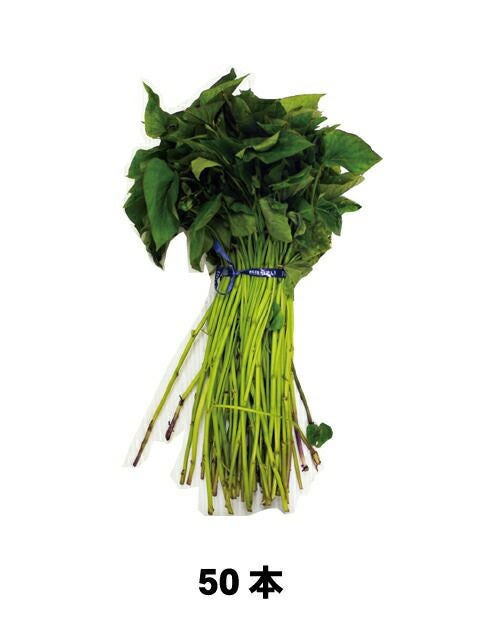 さつまいも苗 【 べにはるか 】 50本 【予約販売 芋づる さつまいも 苗