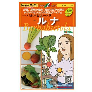 ビート 種 【 バルバビエートラ ルナ 】 80粒 （ 種 野菜 野菜種子