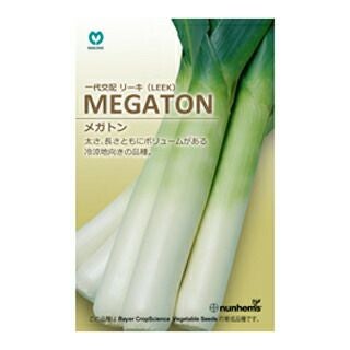 リーキ　ポロネギ　野菜　ランダム10kg リーキ 種 【 メガトン 】 70粒 （ 種 野菜 野菜種子 野菜種 ） | 農業