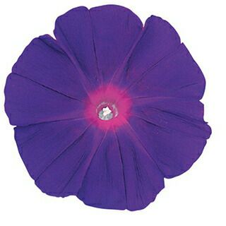 000000011198-01.jpg?size=l&w=