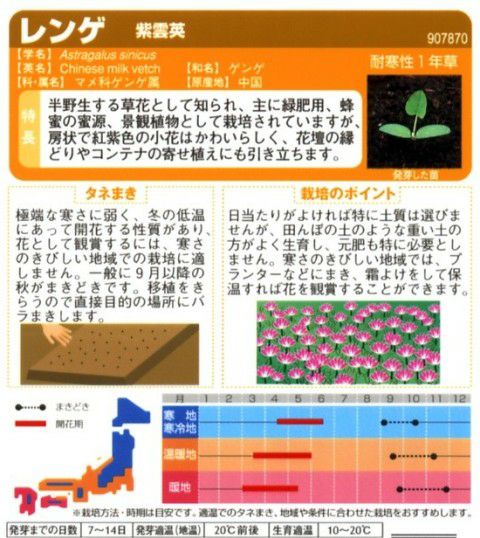 レンゲ（紫雲英） 】 実咲小袋 （ レンゲ（紫雲英）の種 ） | 農業屋.com