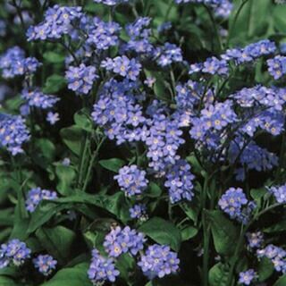 000000015722-01.jpg?size=l&w=